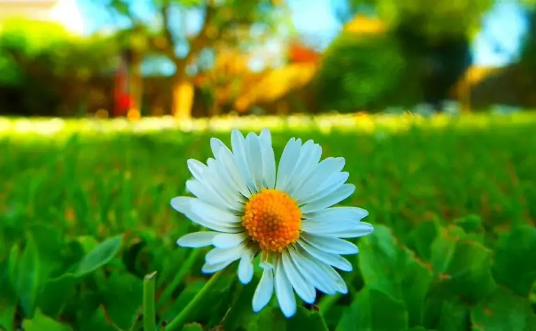 Choosing the best aperture