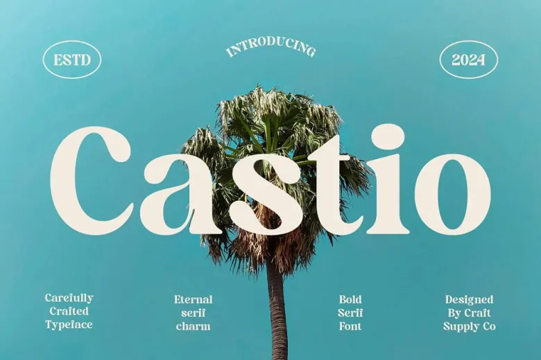 Best font for logo designer in 2025