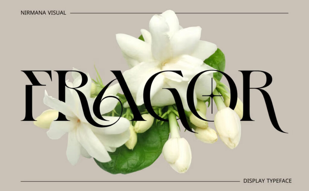 Best font for logo designer in 2025
