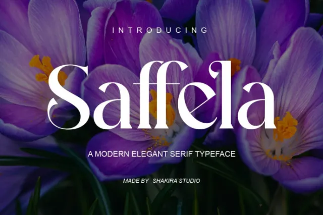 Best font for logo designer in 2025
