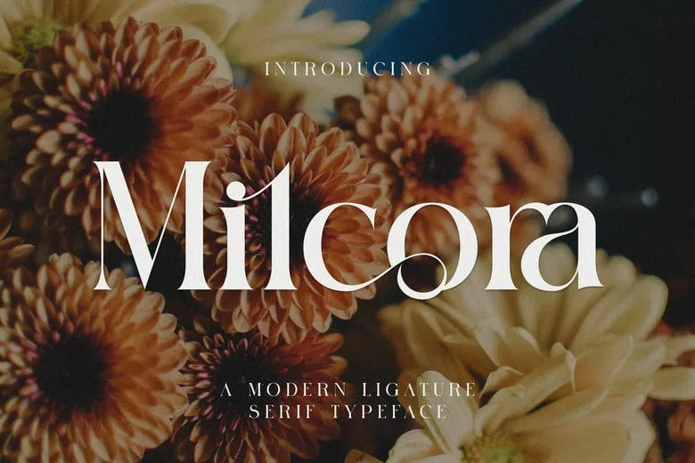 Best font for logo designer in 2025