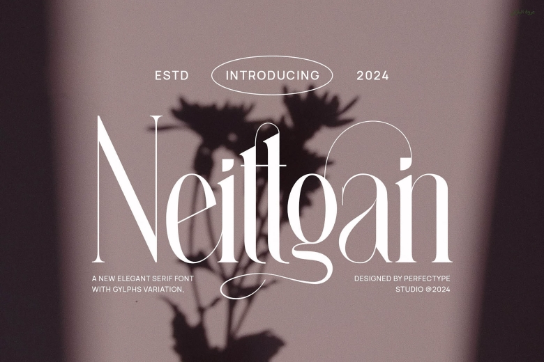 Best font for logo designer in 2025