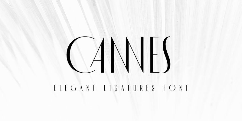 Best font for logo designer in 2025